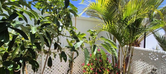 4 Schlafzimmer Haus in Mogan, Spain, Nr. 177795 7