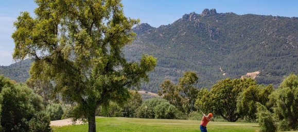 Studio in Pula, Italy No. 262064 9