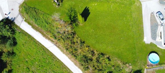 Terrain à Kottmannsdorf, Austria No. 49282 6