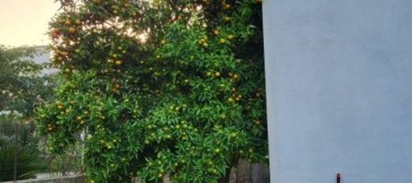 10غرفة فيلا في Tora e Piccilli, Italy رقم 70943 5