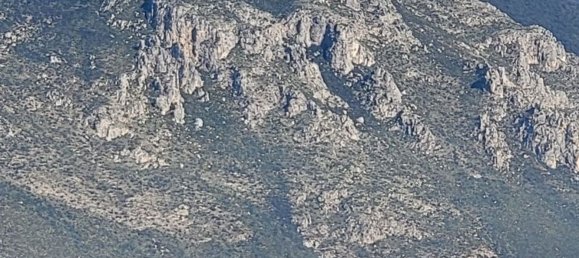 10غرفة فيلا في Tora e Piccilli, Italy رقم 70943 9