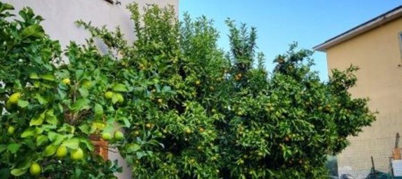 10غرفة فيلا في Tora e Piccilli, Italy رقم 70943 13