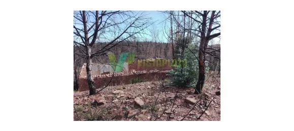 Land in Silves, Portugal No. 40986 3