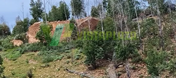 Land in Silves, Portugal No. 40986 5