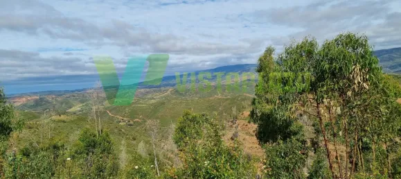 Land in Silves, Portugal No. 40986 10