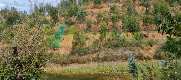 Land in Silves, Portugal No. 40986 9