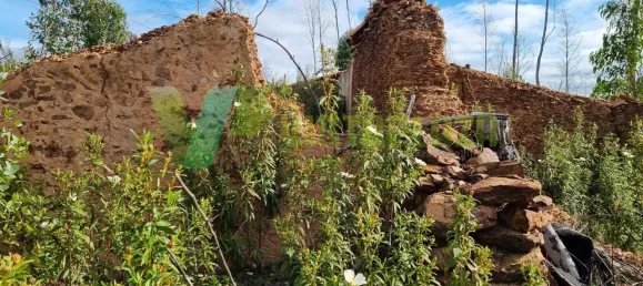 Land in Silves, Portugal No. 40986 4