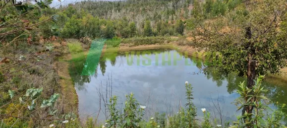 Land in Silves, Portugal No. 40986 8