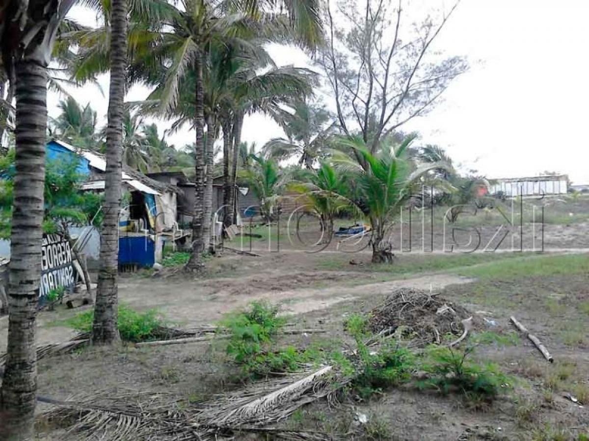  Land in Veracruz, Mexico No. 205328