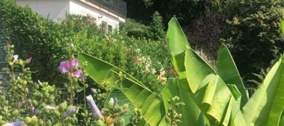 5 rooms Villa in Dizzasco, Italy No. 58316 4