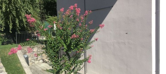 5 rooms Villa in Dizzasco, Italy No. 58316 9