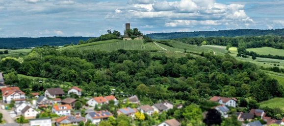 Земельный участок в Карлсруэ, Германия № 37584 6