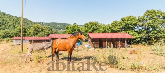 Дом с 6 комнатами в Монтефьясконе, Италия № 277787 44