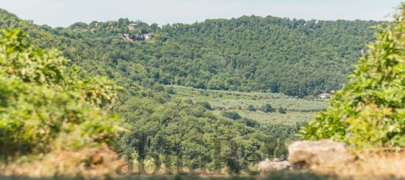 Дом с 6 комнатами в Монтефьясконе, Италия № 277787 45