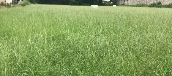 1 room Land in Beauchalot, France No. 84625 2