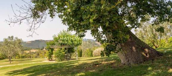 13 bedrooms House in Cinigiano, Italy No. 237987 11