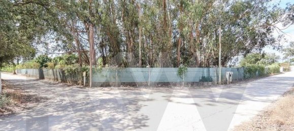 Дом с 5 спальнями в Пиньял Нову, Португалия № 67831 13