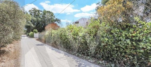 Дом с 5 спальнями в Пиньял Нову, Португалия № 67831 16