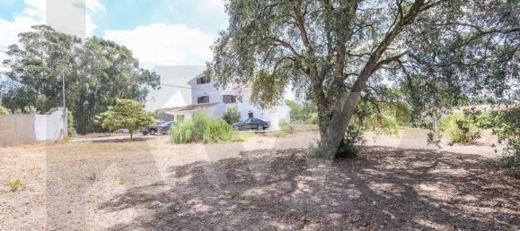 Дом с 5 спальнями в Пиньял Нову, Португалия № 67831 15