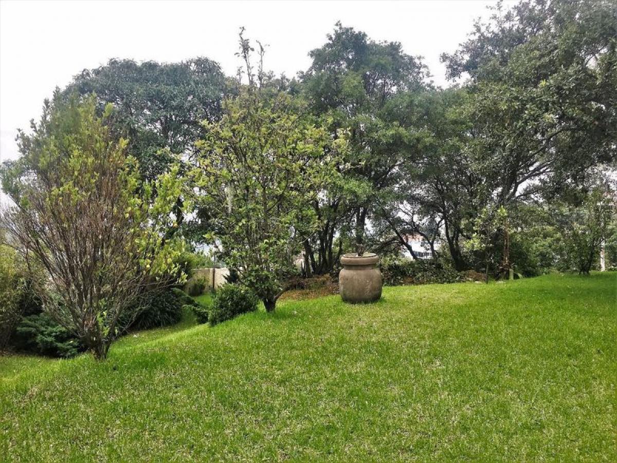  Land in Ciudad Lopez Mateos, Mexico No. 202734