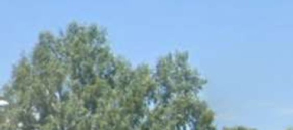 4 chambres Appartement à Campagna Lupia, Italy No. 323332 17