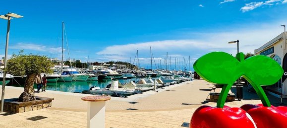 Коммерческая недвижимость 235м² в Санта-Эулалия дель Рио, Испания № 78806 3