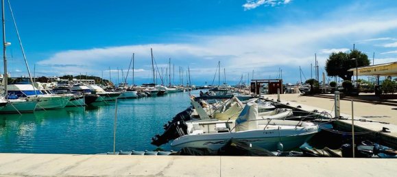 Коммерческая недвижимость 235м² в Санта-Эулалия дель Рио, Испания № 78806 5