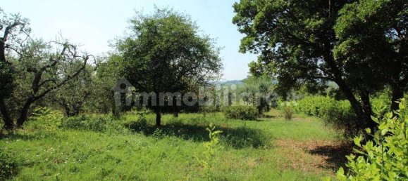 4 غرف نوم منزل في Certaldo, Italy رقم 79054 10