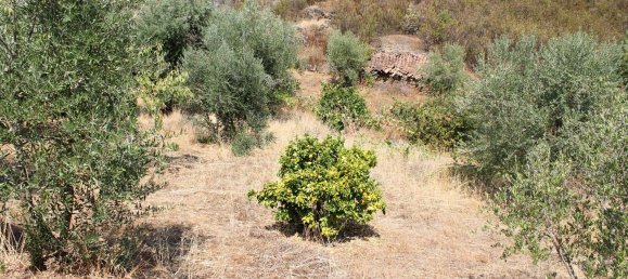 5 Schlafzimmer Haus in Proenca a Nova, Portugal, Nr. 345381 24