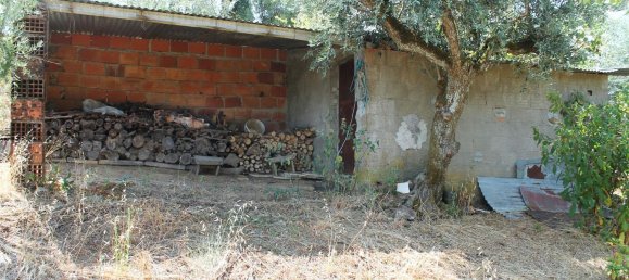 5 Schlafzimmer Haus in Proenca a Nova, Portugal, Nr. 345381 26