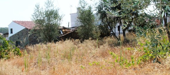 5 Schlafzimmer Haus in Proenca a Nova, Portugal, Nr. 345381 15