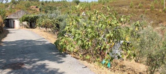 5 Schlafzimmer Haus in Proenca a Nova, Portugal, Nr. 345381 23