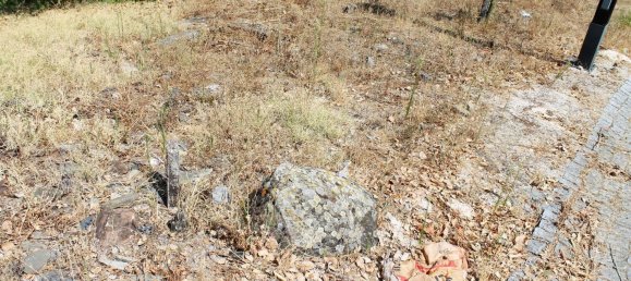 5 Schlafzimmer Haus in Proenca a Nova, Portugal, Nr. 345381 22