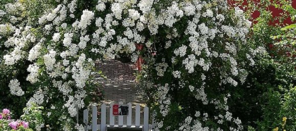 Дом с 2 спальнями в Северная Фрисландия, Германия № 108315 2