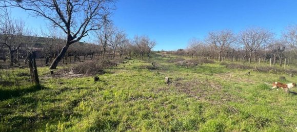 4 rooms House in Palma Campania, Italy No. 120854 8