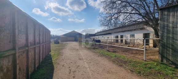 42160m² Land in Markgrafneusiedl, Austria No. 190512 2