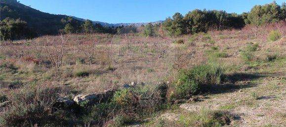 1 Schlafzimmer Haus in Fundao, Portugal, Nr. 63151 9