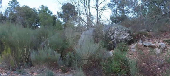 1 Schlafzimmer Haus in Fundao, Portugal, Nr. 63151 38