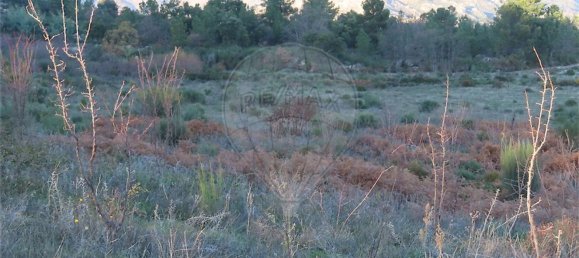 1 Schlafzimmer Haus in Fundao, Portugal, Nr. 63151 19