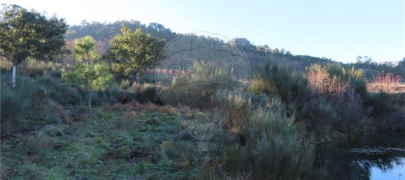 1 Schlafzimmer Haus in Fundao, Portugal, Nr. 63151 12