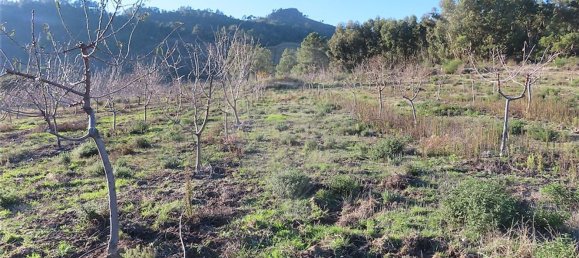 1 Schlafzimmer Haus in Fundao, Portugal, Nr. 63151 6