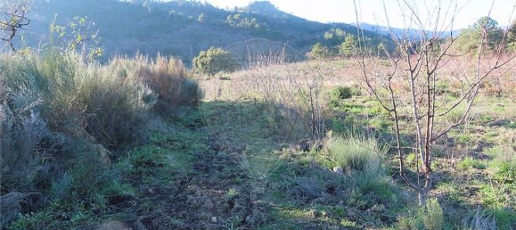 1 Schlafzimmer Haus in Fundao, Portugal, Nr. 63151 7