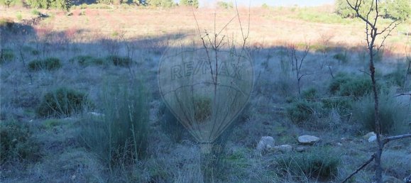 1 Schlafzimmer Haus in Fundao, Portugal, Nr. 63151 49