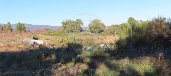 1 Schlafzimmer Haus in Fundao, Portugal, Nr. 63151 15