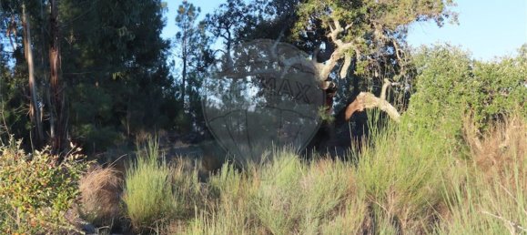 1 Schlafzimmer Haus in Fundao, Portugal, Nr. 63151 46