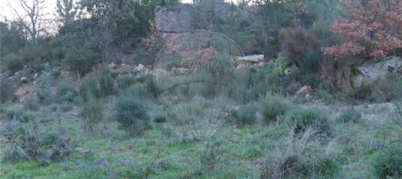 1 Schlafzimmer Haus in Fundao, Portugal, Nr. 63151 33