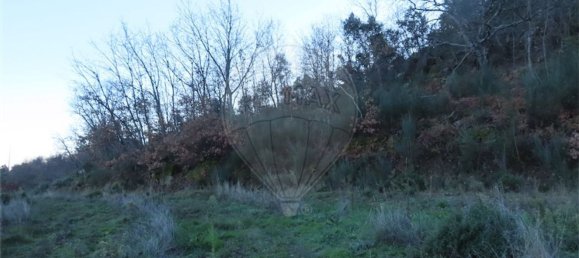 1 Schlafzimmer Haus in Fundao, Portugal, Nr. 63151 29