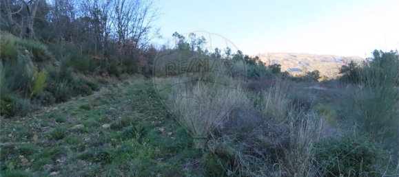 1 Schlafzimmer Haus in Fundao, Portugal, Nr. 63151 25