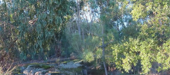 1 Schlafzimmer Haus in Fundao, Portugal, Nr. 63151 47