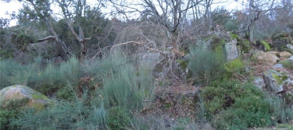 1 Schlafzimmer Haus in Fundao, Portugal, Nr. 63151 24